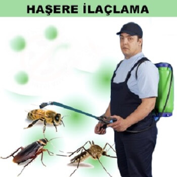 Akçaabat Böcek İlaçlama
